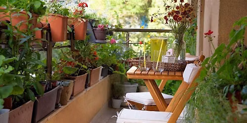 Balcony and Container Gardening Class 6.13