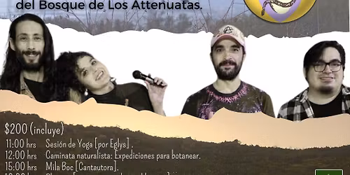 🎶🌲Bosque Sonoro: naturaleza, música y comunidad 🌲🎶