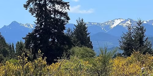 Relax, Explore, Repeat in Sequim Rally - Washington Airstream Club