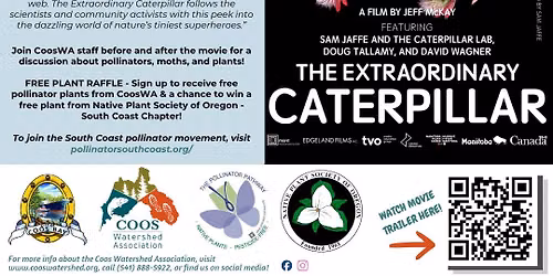 Science Movies in the Park: The Extraordinary Caterpillar