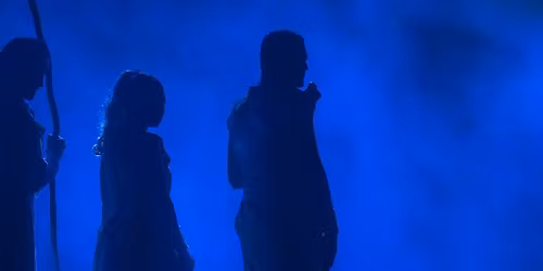 Les plus belles com\u00e9dies musicales [TOULON]