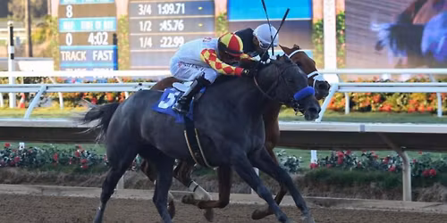 Collmus Calls for CARMA