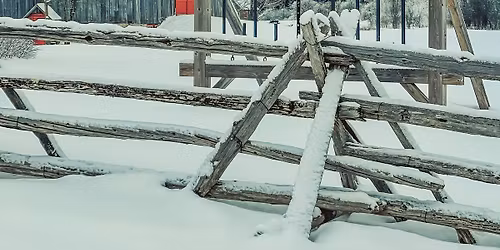 Ecotay Christmas Market