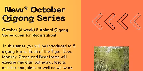 5 Animal Qigong 6 week Series