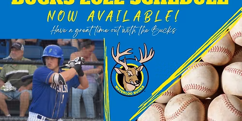 Duluth Huskies vs. Waterloo Bucks