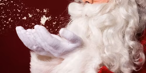 Festive Parade Evening