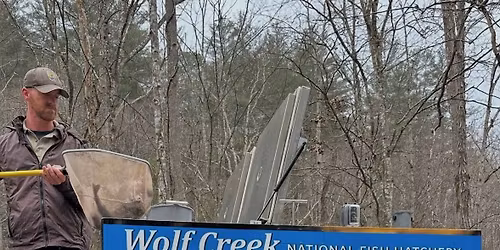 Volunteer Trout Stocking Opportunity - Clear Creek