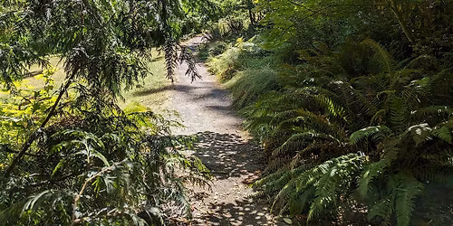 Mt. Pisgah Aboretum Hike - Coastal Cascades Dentist Society Meet Up