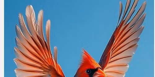 Annual class Get Together