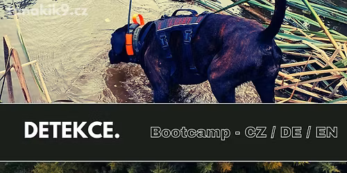 DETEKCE pro praktick\u00e1 vyu\u017eit\u00ed - BOOTCAMP