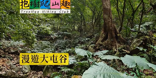 \u6f2b\u904a\u5927\u5c6f\u8c37