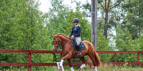 Sitsclinic (RiB) & sitsanalyser