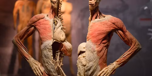 Parking Bodies - The Exhibition - Las Vegas