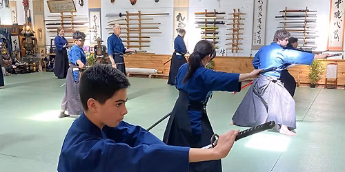 Kenjutsu ( Japanese swordsmanship ) Introduction Session