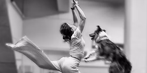 Zata\u0144cz z Myrto - 4 dni rozta\u0144czonego obozu