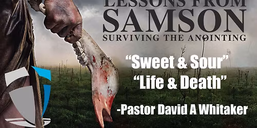 Experience, \u201cSweet & Sour \/ Life & Death\u201d - Week 12 \/ Judges