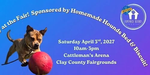 Pet Adoption Day at the Clay County Fair! -Sponsored by Homemade Hounds Bed & Biscuit! 