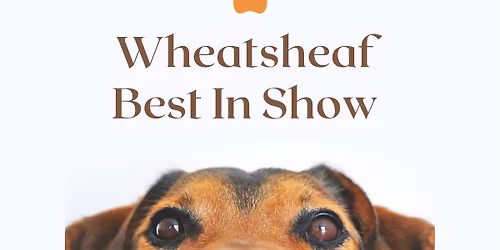 Best In Show \ud83d\udc3e