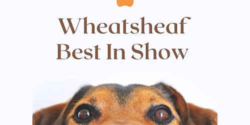 Best In Show \ud83d\udc3e