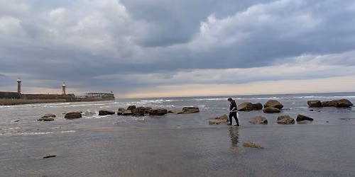 \ud83e\udd9e LOBSTER RELEASE \ud83e\udd9e @ Sandsend