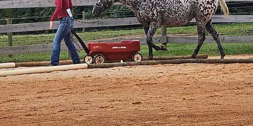 Rockin' R Ranch Obstacle Challenge