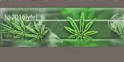 smokedope2016 in San Francisco