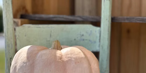 The Harvest Open House