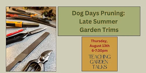 Dog Days Pruning: Late Summer Garden Trims