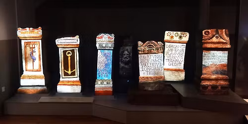 University Museums: Today, Tomorrow, Together