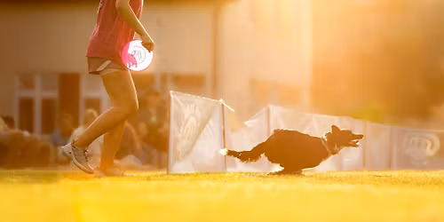 Dogfrisbee z Magd\u0105 Cholewick\u0105 w Starogardzie Gda\u0144skim! 