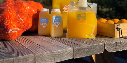 U Pick Orange Grove- Opening Day