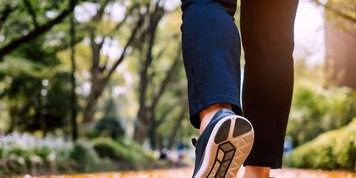 The RAMble: Walking for Wellness in Monroe Park