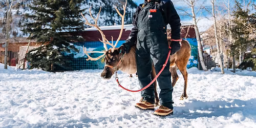 Storytime with Reindeer at the Frisco Historic Park