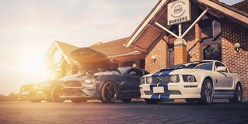 Simply Mustangs