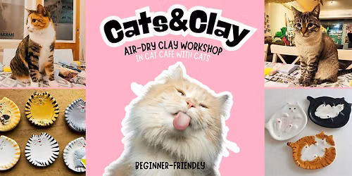 Cats&Clay - clay workshop in cat cafe with cats - Nijmegen