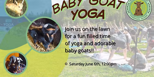BABY Goat Yoga