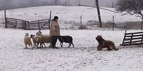 TKV, NHAT, HWT \u00e9s J\u00e1t\u00e9kos \u00c9vb\u00facs\u00faztat\u00f3 Terel\u0151verseny