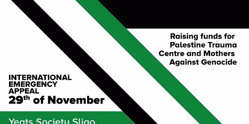 Action! Auction! Art! 2025 - Sligo