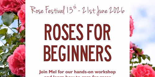 Roses for Beginners