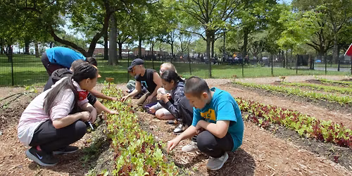 Urban Farming 101 Workshop: Supporting Student Learning in the Garden