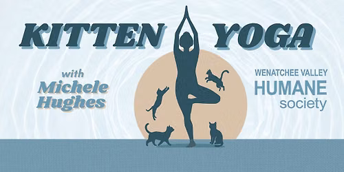 Kitten Yoga