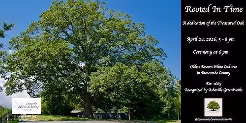 Rooted in Time: A Dedication of the Treasured Oak