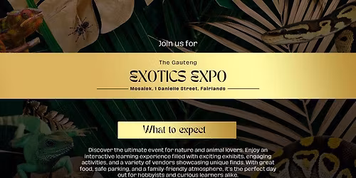 Gauteng Exotics Expo