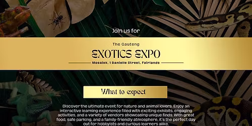 Gauteng Exotics Expo