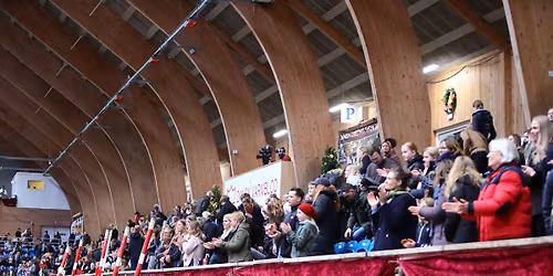 Aviar Christmas Show Dressage