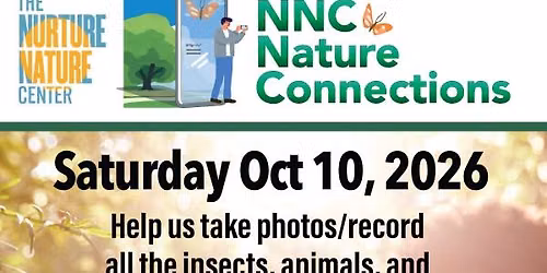 Nature Connections: Bioblitz in Easton's Micro-forest!