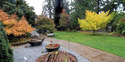 All Things Sedum with Sandy Milam