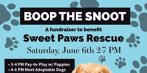 Boop The Snoot: A Fundraiser to Benefit Sweet Paws Rescue