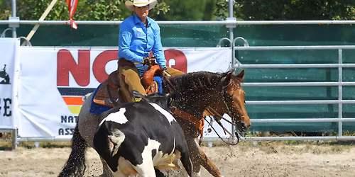 Rinderkurs mit Ute Holm-Sch\u00e4uble