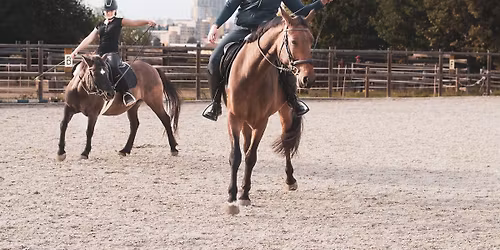 V\u00e1clav Bo\u0159\u00e1nek - Horsemanship\/Jezdectv\u00ed I., 2. d\u00edl -Teorie j\u00edzdy pro pokro\u010dil\u00e9, jezdectv\u00ed v harmonii